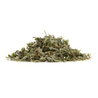 Damiana | Turnera afrodisíaca