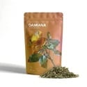 Damiana | Turnera afrodisíaca