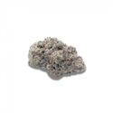 Cherry Zoap Autoflorescentes (Growers Choice) feminizadas