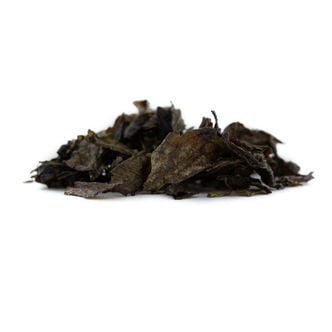 Extrato 10x de Calea Zacatechichi