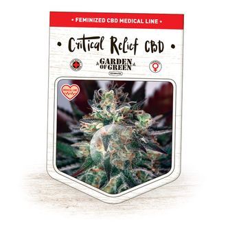 Critical Relief CBD (Garden of Green) feminizada