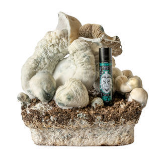 Seringa de cultura líquida Melmac Monster (Acid Shroomz)