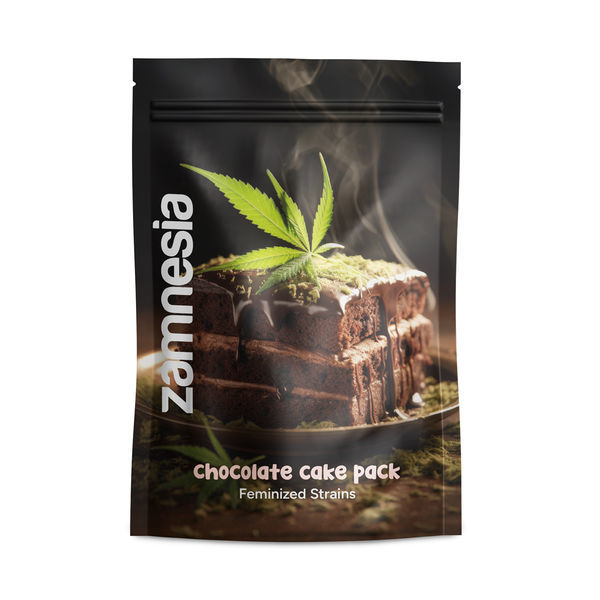 Pack Chocolate Cake - Variedades Femininas