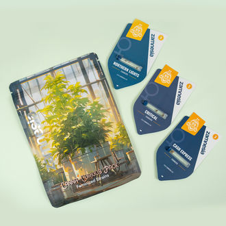 Canna-Curious Pack – Variedades Feminizadas