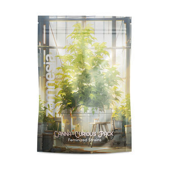 Canna-Curious Pack - Variedades Feminilizadas