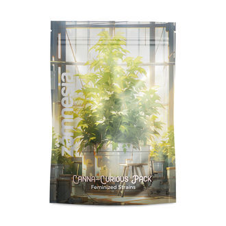 Canna-Curious Pack – Variedades Feminizadas