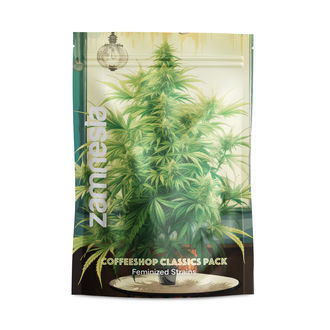 Coffeeshop Classics Pack – Variedades Feminizadas