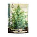 Coffeeshop Classics Pack – Variedades Feminizadas