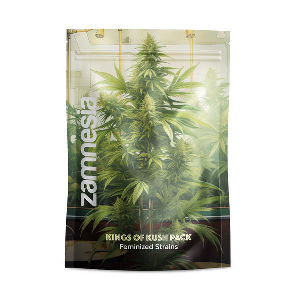 Kings of Kush Pack - Variedades Feminizadas