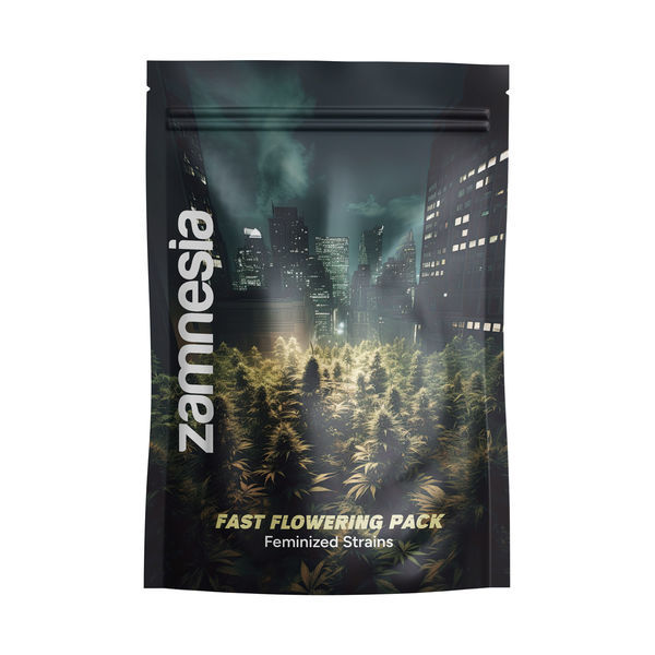 Fast Flowering Pack - Variedades Feminizadas