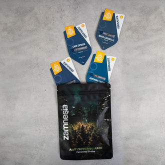 Fast Flowering Pack - Variedades Feminizadas