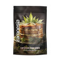 Caramel Cake Pack - Variedades Autoflorescentes