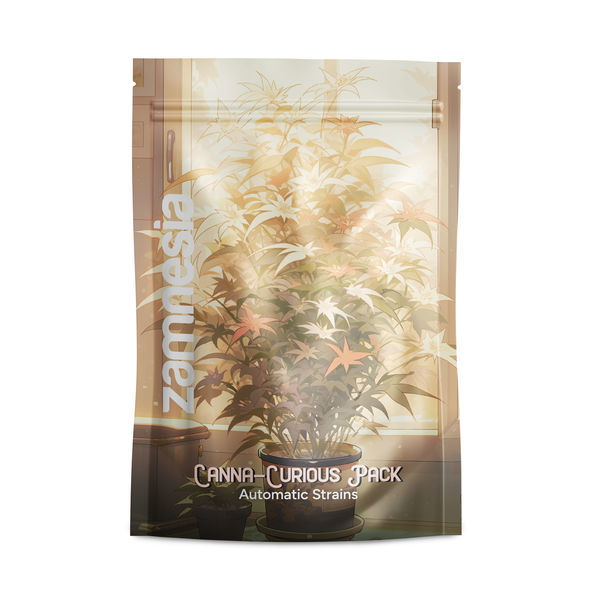 Canna-curious Pack – Variedades Autoflorescentes
