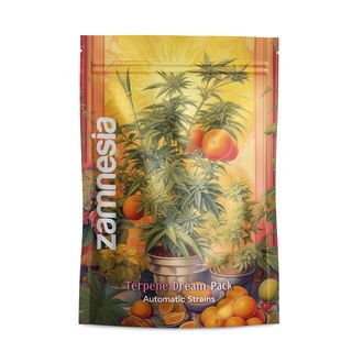 Terpene Dream Pack – Variedades Autoflorescentes