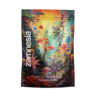 Pack Jardim Colorido - Variedades Autoflorescentes
