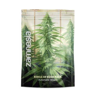 Kings of Kush Pack – variedades autoflorescentes