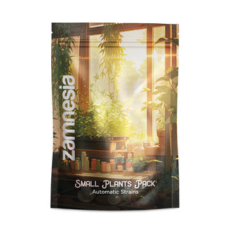 Pack de pequenas plantas - variedades automáticas