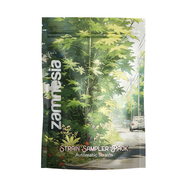 Pack de Amostras de Variedades - Autoflorescentes