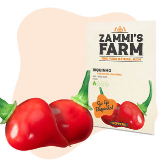 Mild Heat Pack - Sementes de Pimento