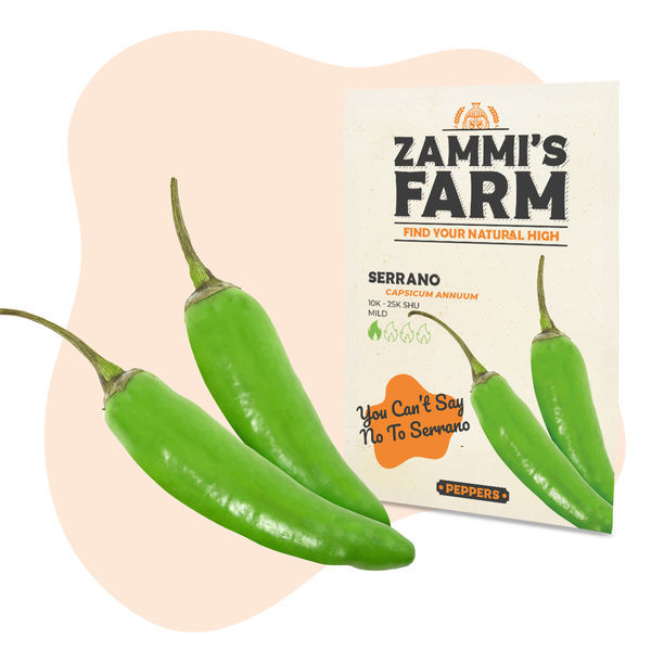 Pack Variado de Malaguetas - Sementes de Pimento