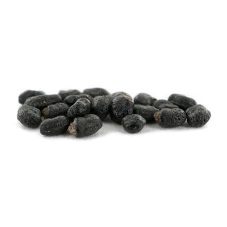 Prickly Pack - Sementes de Cactos com Mescalina