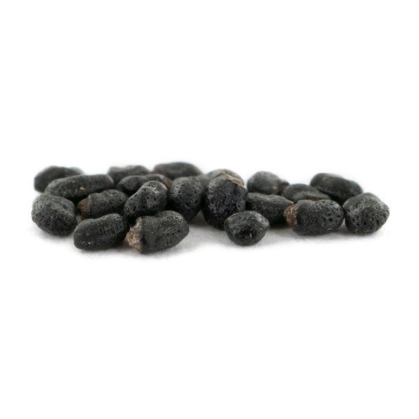 Prickly Pack - Sementes de Cactos com Mescalina