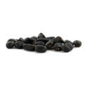 Prickly Pack - Sementes de Cactos com Mescalina