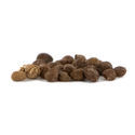 Pack Trippy Garden - Sementes Inteligentes