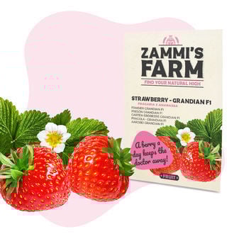 Pack de sementes de frutos – Zammi's Farm