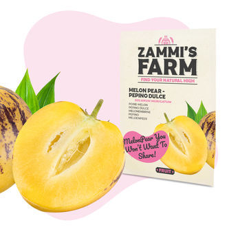 Pack de sementes de frutos – Zammi's Farm