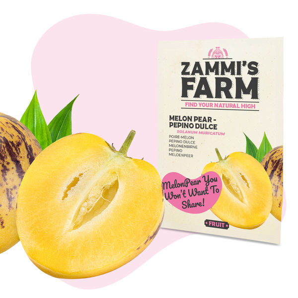 Pack de sementes de frutos – Zammi's Farm