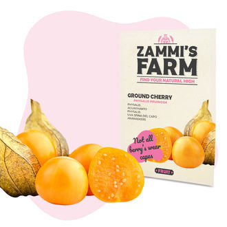 Pack de sementes de frutos – Zammi's Farm