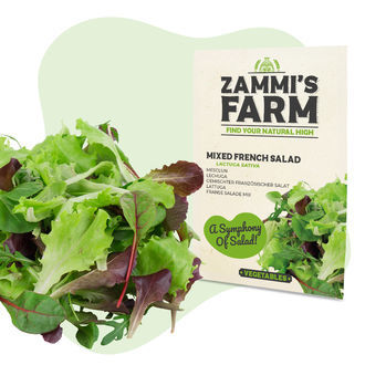 Pacote de sementes de vegetais - Zammi's Farm