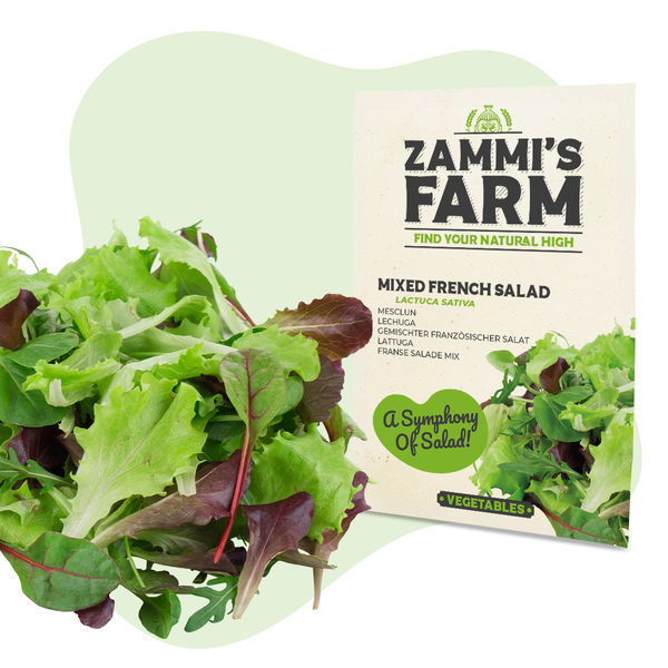 Pacote de sementes de vegetais - Zammi's Farm