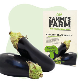 Pacote de sementes de vegetais - Zammi's Farm