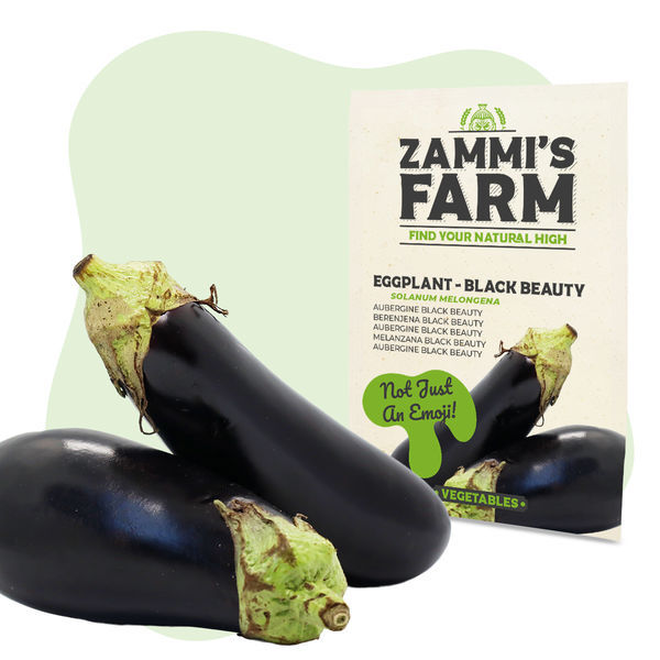 Pacote de sementes de vegetais - Zammi's Farm