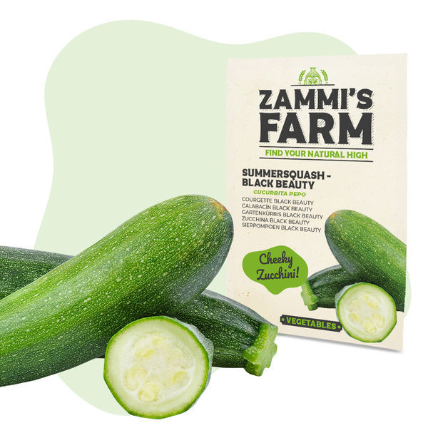 Pacote de sementes de vegetais - Zammi's Farm