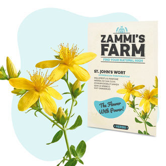 Pack de sementes bem-estar - Zammi's Farm