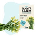 Pack de sementes exóticas - Quinta do Zammi