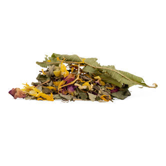 Chá Experiência de Vida