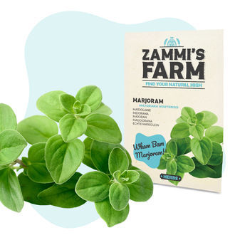 Pack de sementes de ervas para churrasco - Zammi's Farm