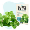 Pack de sementes de ervas para churrasco - Zammi's Farm