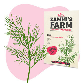 Pack de sementes de ervas para churrasco - Zammi's Farm