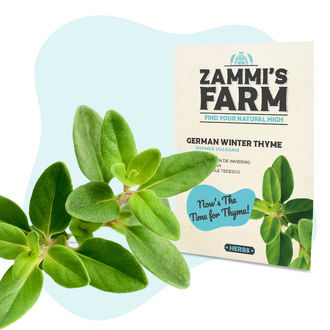 Pack de sementes de ervas para churrasco - Zammi's Farm