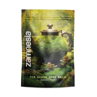 Pack de sementes de ervas para chá - Zammi's Farm