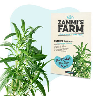 Pack de sementes de ervas para chá - Zammi's Farm