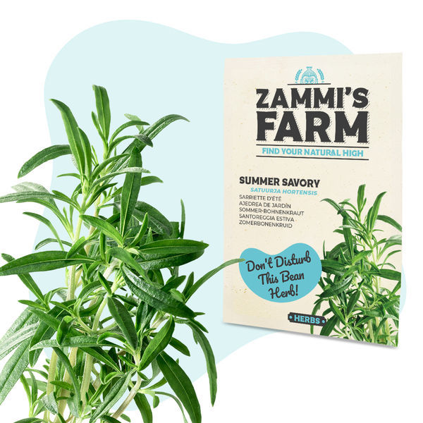 Pack de sementes de ervas para chá - Zammi's Farm
