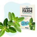 Pack de sementes de ervas para chá - Zammi's Farm