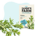 Pack de sementes de ervas para chá - Zammi's Farm