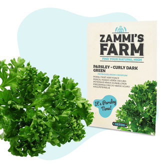 Kit de sementes de ervas aromáticas para cozinha - Zammi's Farm